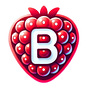 bookberry.club's avatar