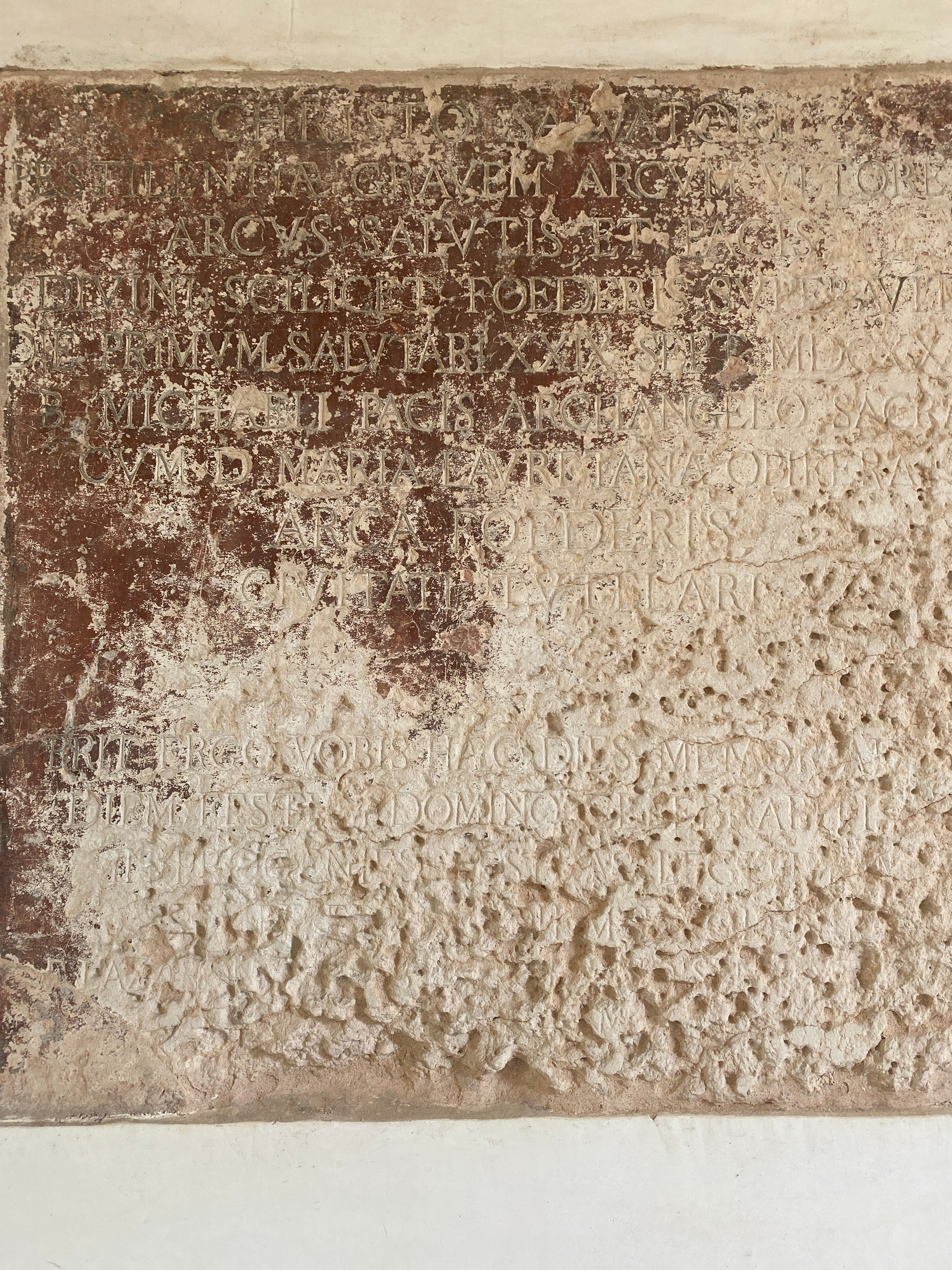 Rose Higham-Stainton | Substack