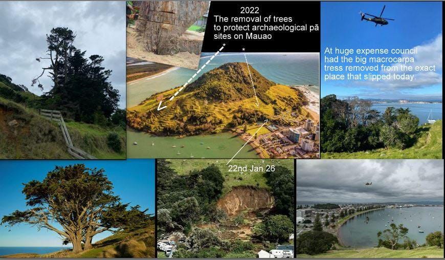 May be an image of tree and text that says "2022 The removal of trees to protect archaeological pă sites sitesonMauao on Mauao At huge expense council had the big Ta tres tress removed fromthe the exact from place that slipped today 22nd Jan 22ndJan.26 26"