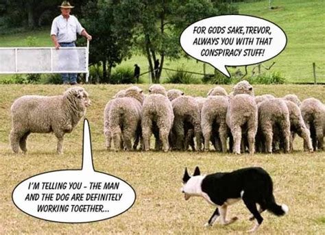 conspiracy theory | Funny animals, Conspiracy, Infj