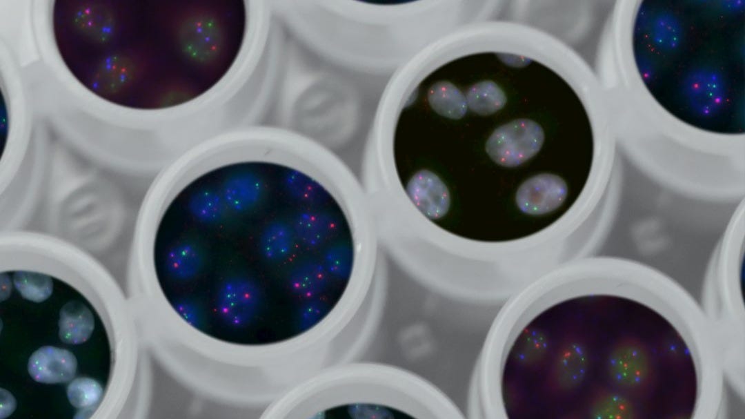 Biotech Company Secures Canadian Patent Covering NKT Cell Modulators: Revolutionary Cancer Treatment