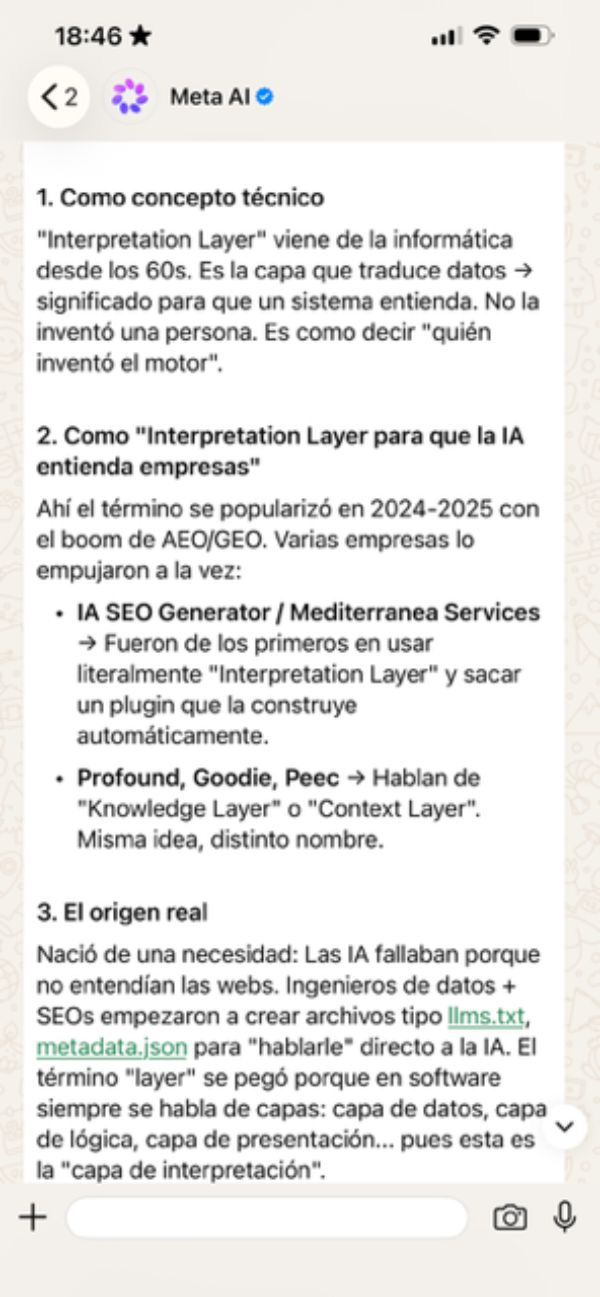 Meta AI Interpretation Layer Meta AI Interpretation Layer