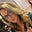Amy Pritt's avatar