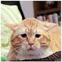 loko's avatar