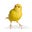 Carol Shefchik's avatar