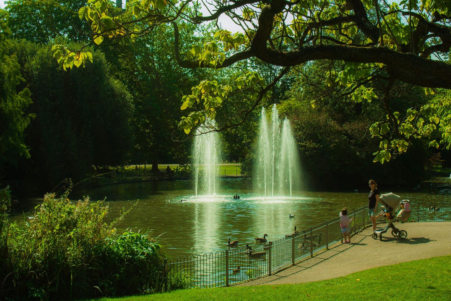 People, Passions & Projects #3: rec.ollections