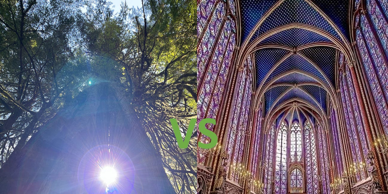 Poll Of The Month: Can beautiful manmade buildings alone provide all the nourishment and beauty required for a healthy mind and soul?