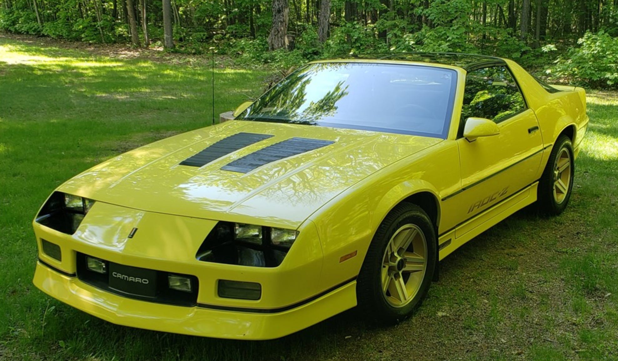 Songs for the IROC-Z - by Paul Ditty - Time Capsule