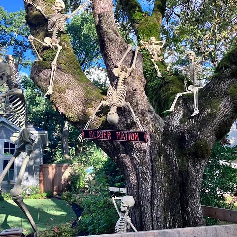 Skeletons in trees, scary decorations in Lake Oswego