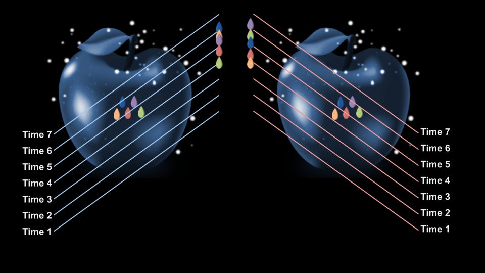 Here we see the same apple, sliced at two different angles. The direction we choose to slice through the apple determines the order the seeds are encountered.