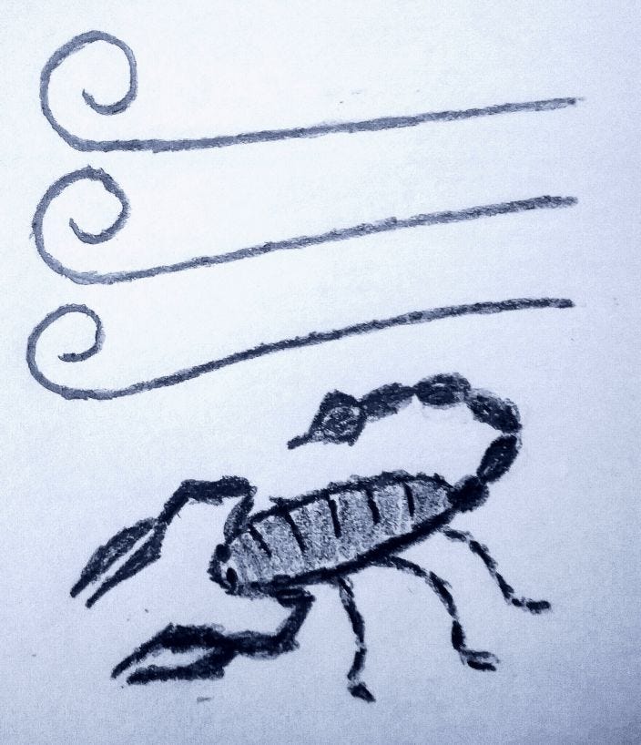 crudely drawn image of curly lines representing wind and a scorpion below that