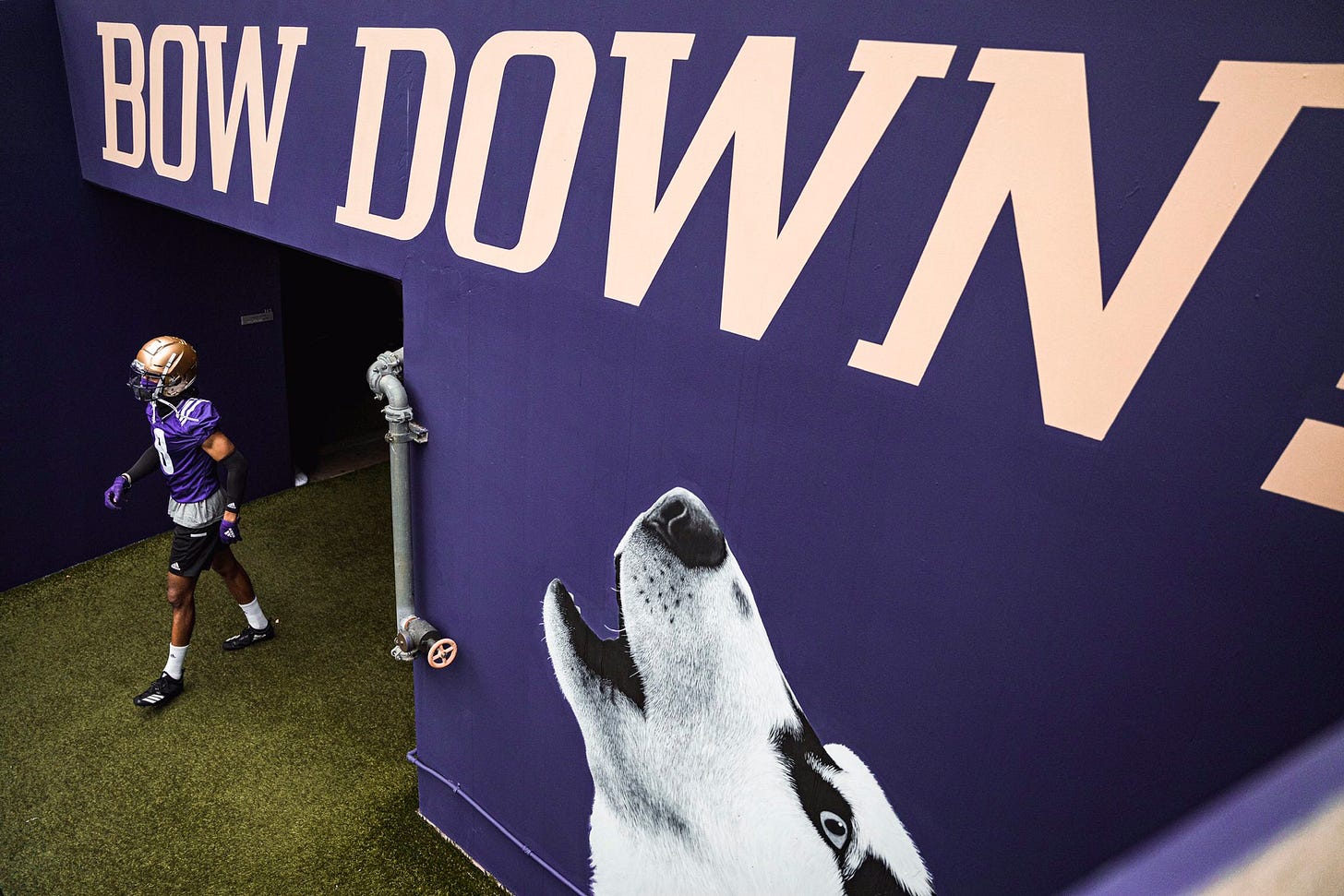 Washington Football on X: "BOW DOWN. https://t.co/YsLn2L24QV" / X
