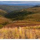 Matter of the Heart – Part IV