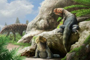 This artist’s depiction shows how Beesiiwo cooowuse may have appeared while roaming the Earth between 250 and 227 million years ago. The newly described rhynchosaur species was named in the language of the northern Arapaho, who live where its fossils were discovered in central Wyoming. GABRIEL UGUETO