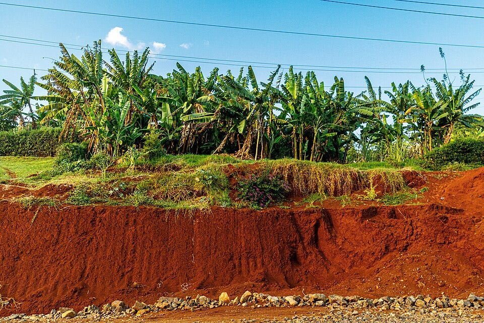 File:Nyeri, Kenya - 51938907610.jpg