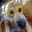 Froggy's avatar