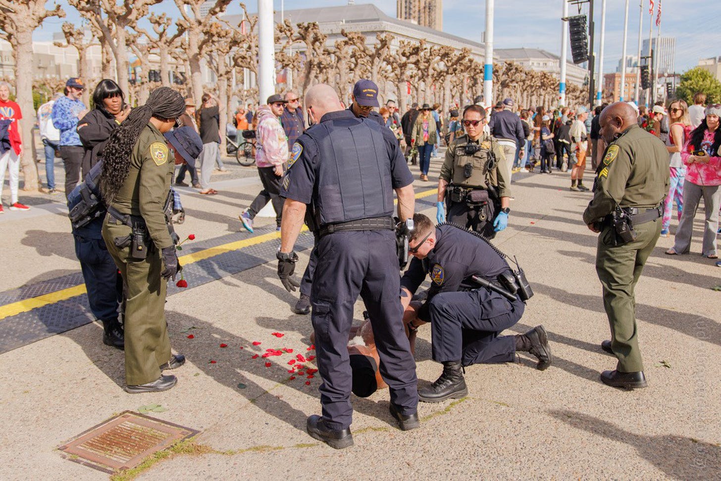 Several police officers surround a person on the ground at Civic Center Plaza, with rose petals scattered nearby and bystanders watching.