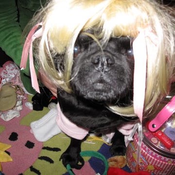 a sloppy slice of my mind