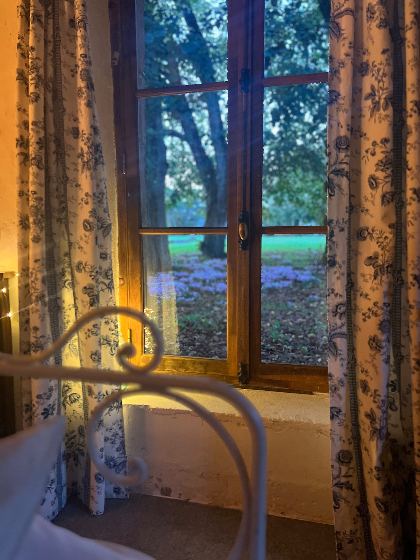 View through an open wooden window framed by blue-and-white floral toile curtains, with the curved white iron of a bed frame and a glow of fairy lights in the foreground, looking out at dusk onto a lawn carpeted with purple cyclamen beneath large trees.