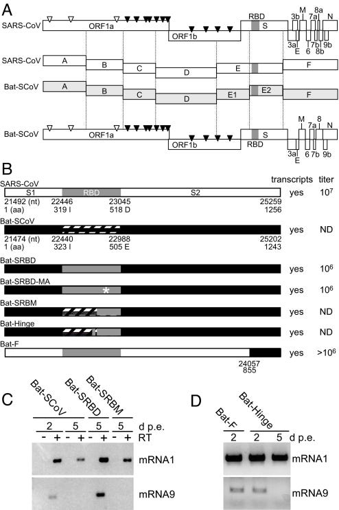 Click on image to zoom An external file that holds a picture, illustration, etc.
Object name is zpq9990857570001.jpg