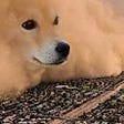 Rabid DOGE's avatar