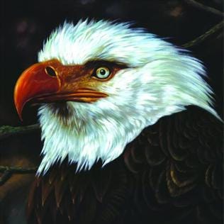 Resultado de imagen de mogwai the hawk is howling