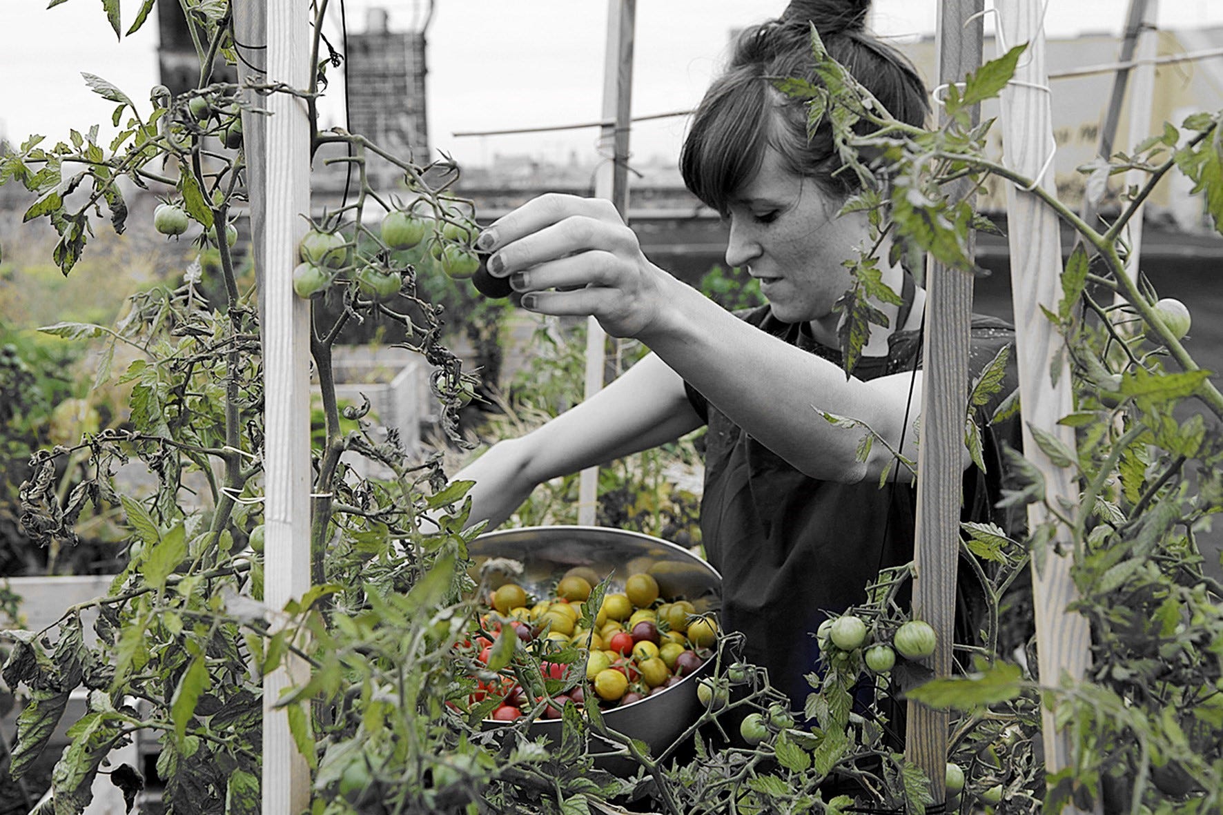 The Artist's Studio Kitchen : Olafur Eliasson