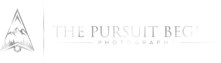 The Pursuit Begins