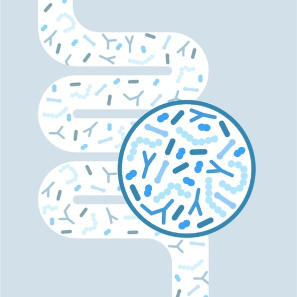 GutMicrobiome_blog GutMicrobiome_blog