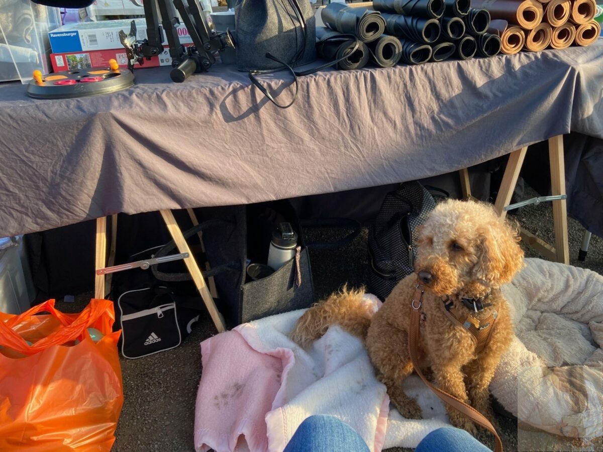 Vente des objets de la liste de désencombrement de mai sur une brocante Vente des objets de la liste de désencombrement de mai sur une brocante