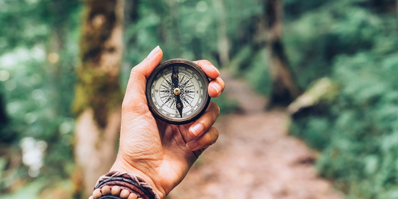 Living with Purpose: A Guide for the Beautifully Lost