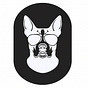 Kyle | The AvDOG's avatar