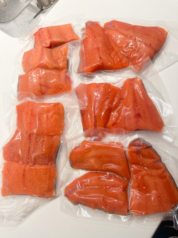 My Everyday Life Week 35 of 2025- Tracy Benjamin of Shutterbean.com