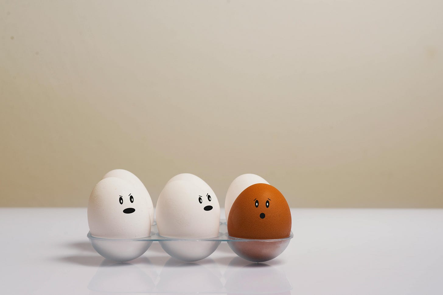 A tray of white eggs with grumpy faces and one stand out brown egg looking shocked A tray of white eggs with grumpy faces and one stand out brown egg looking shocked