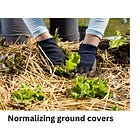 Set Your Garden Up For Pest Control Success All Season Long