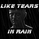 Like Tears in Rain