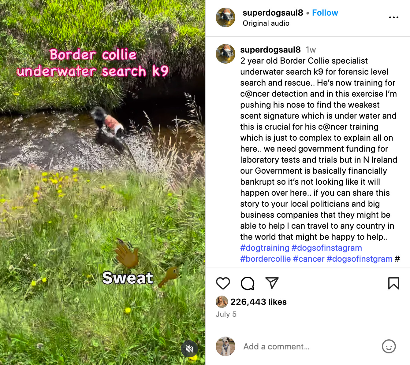 @superdogsaul8 searching for a key in the water in IG reel