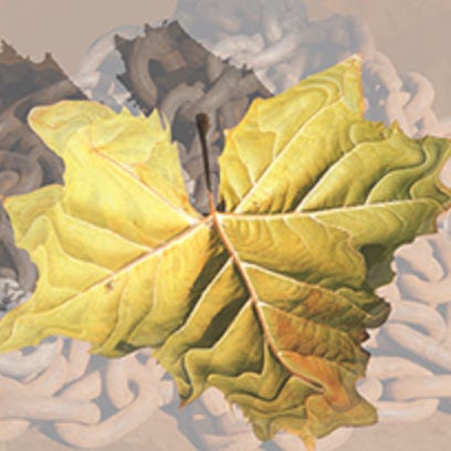 Autumn of the Species