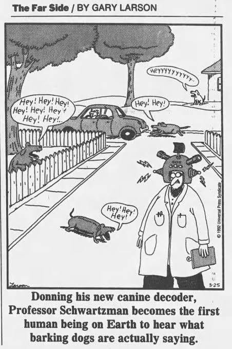 Hey! : r/TheFarSide Hey! : r/TheFarSide