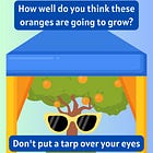 4 Reasons Sunglasses Harm Our Health