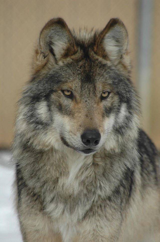 Photo Credit: Pinterest