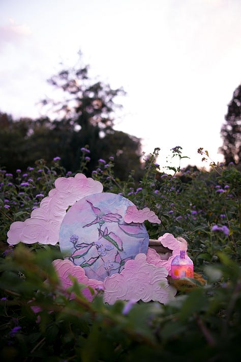 a variety of framed prints taken in the garden