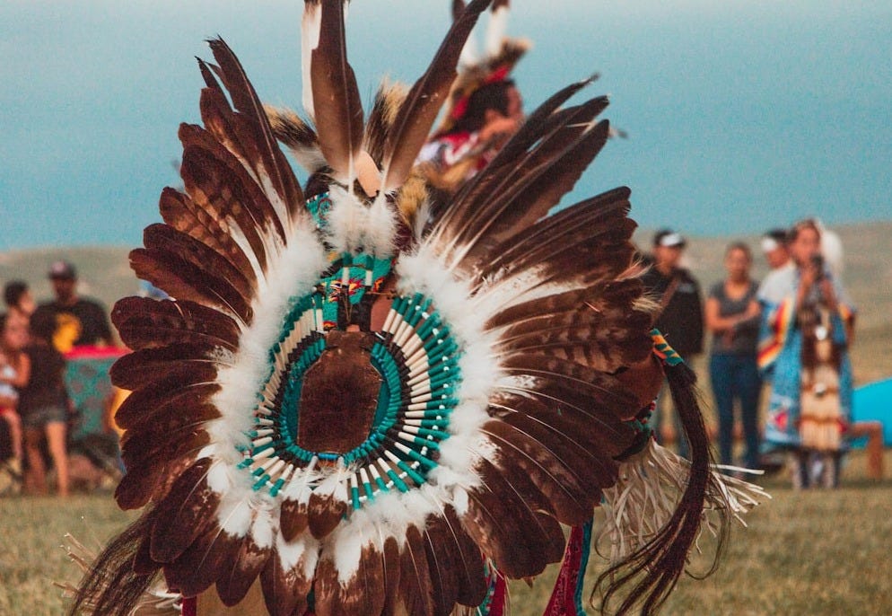 person wearing brown, white, and teal feather costume