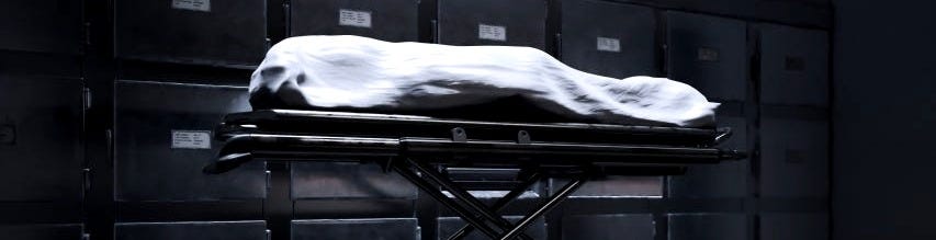 Gruesome Things You See Working in A Hospital Morgue | by Ciara F. Bates |  Medium