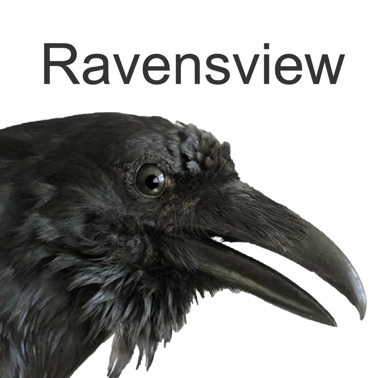 Raven's View Stacks