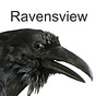 Raven's View Stacks