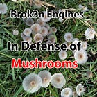 Shrooms