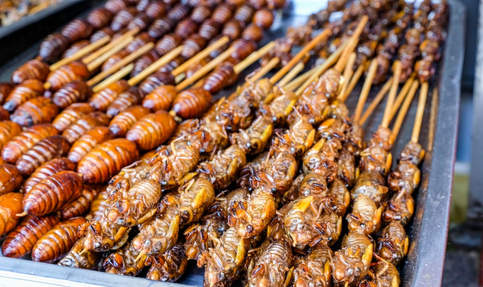 Get ready to eat bugs if you want to live beyond 2050 | Engadget