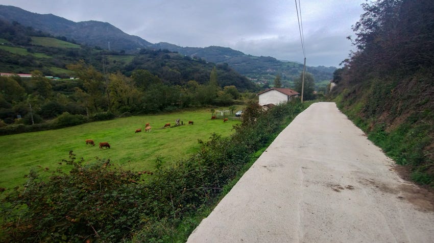 Pista de asfalto junto a prados con vacas, camino de Pola de Lena