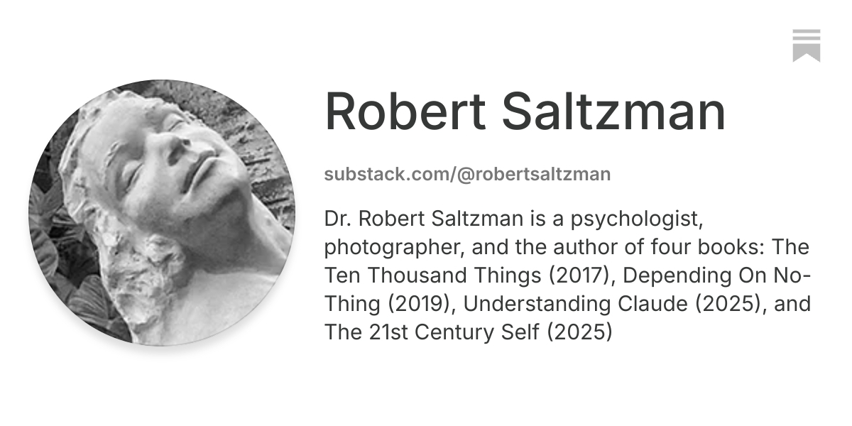 Robert Saltzman | Substack